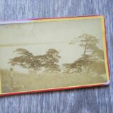 【古写真の調査後売却】隅田川か？河川と松の木のある風景（鶏卵紙、台紙貼付）