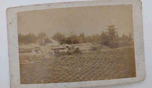 古写真の調査後売却】二元帥と六大将】記念写真◇大山巌,山県有朋,児玉