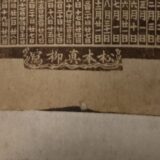 松本 真柳